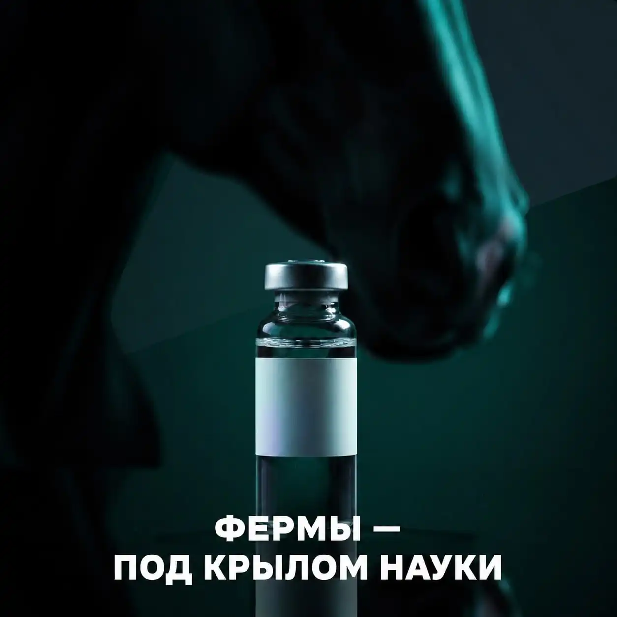 ФЕРМЫ - ПОД КРЫЛОМ НАУКИ