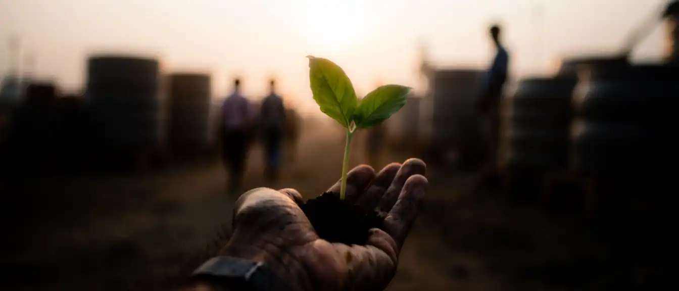 Обеспечение продовольственной безопасности: Москва намерена увеличить объемы экспорта удобрений в Индию