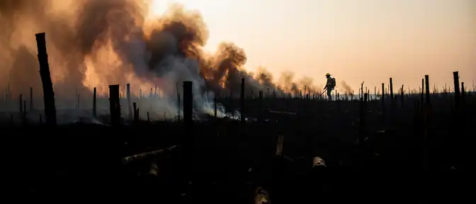 Борьба с огнем: в девяти регионах страны за сутки ликвидированы десятки лесных пожаров